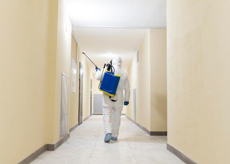 Why Choose Exclusive Pro Cleaning for Fogging Services?