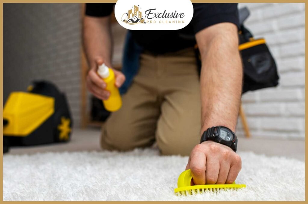 Finding the Best Carpet Cleaning Services Near Me: Tips and Options