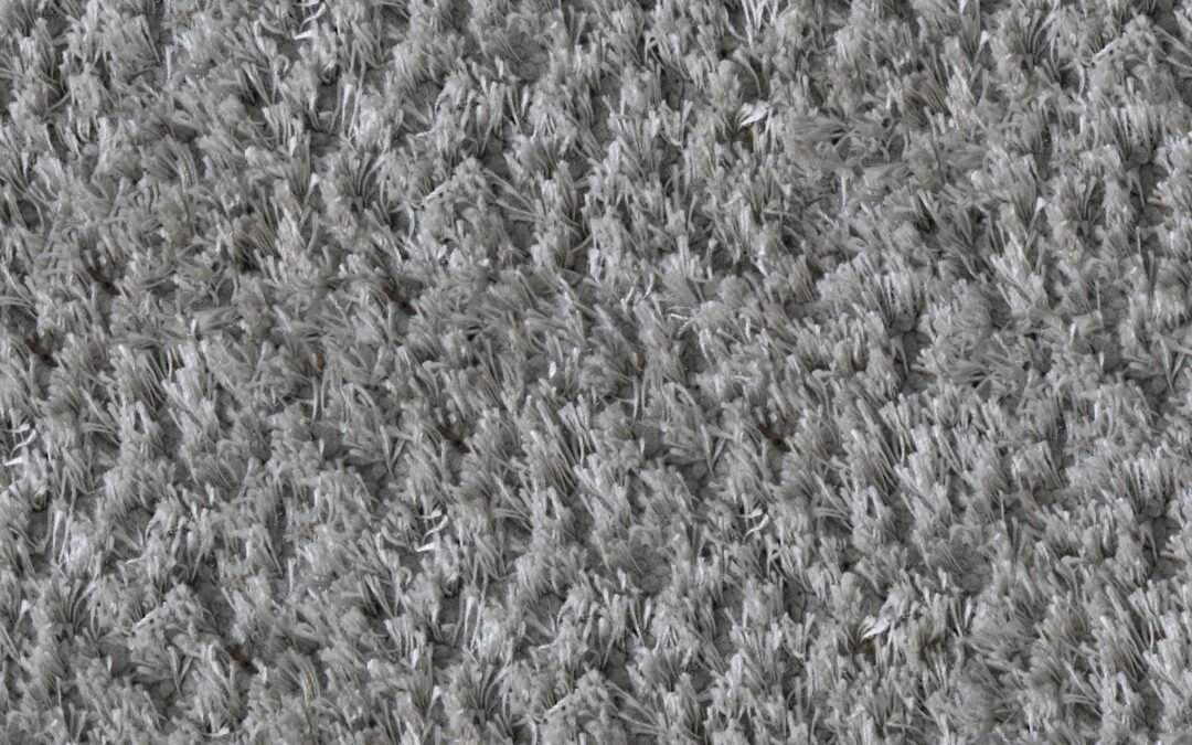 Reduce Dust Mite Allergens in Your Manchester Carpets