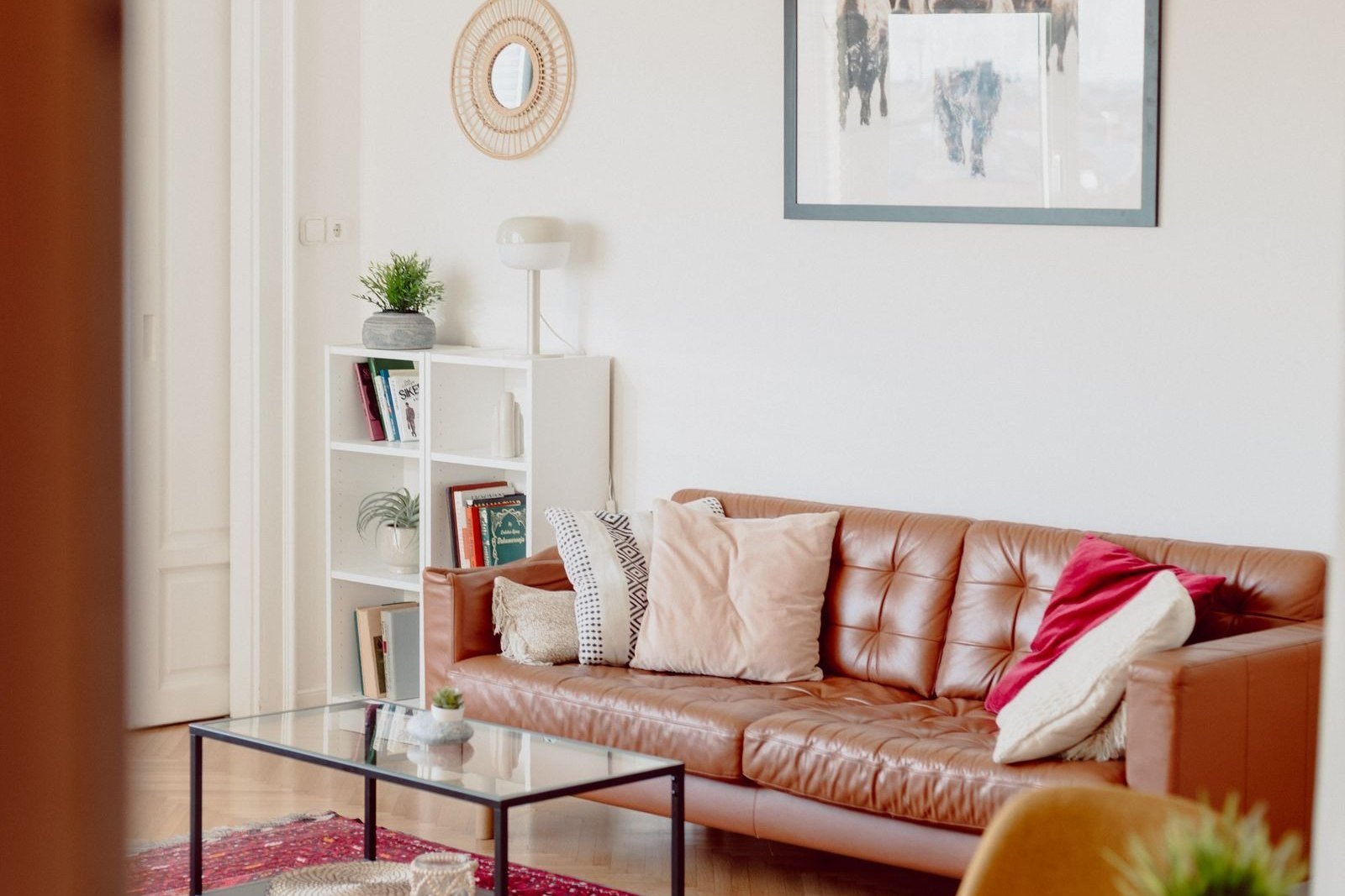 leather sofa cleaning care